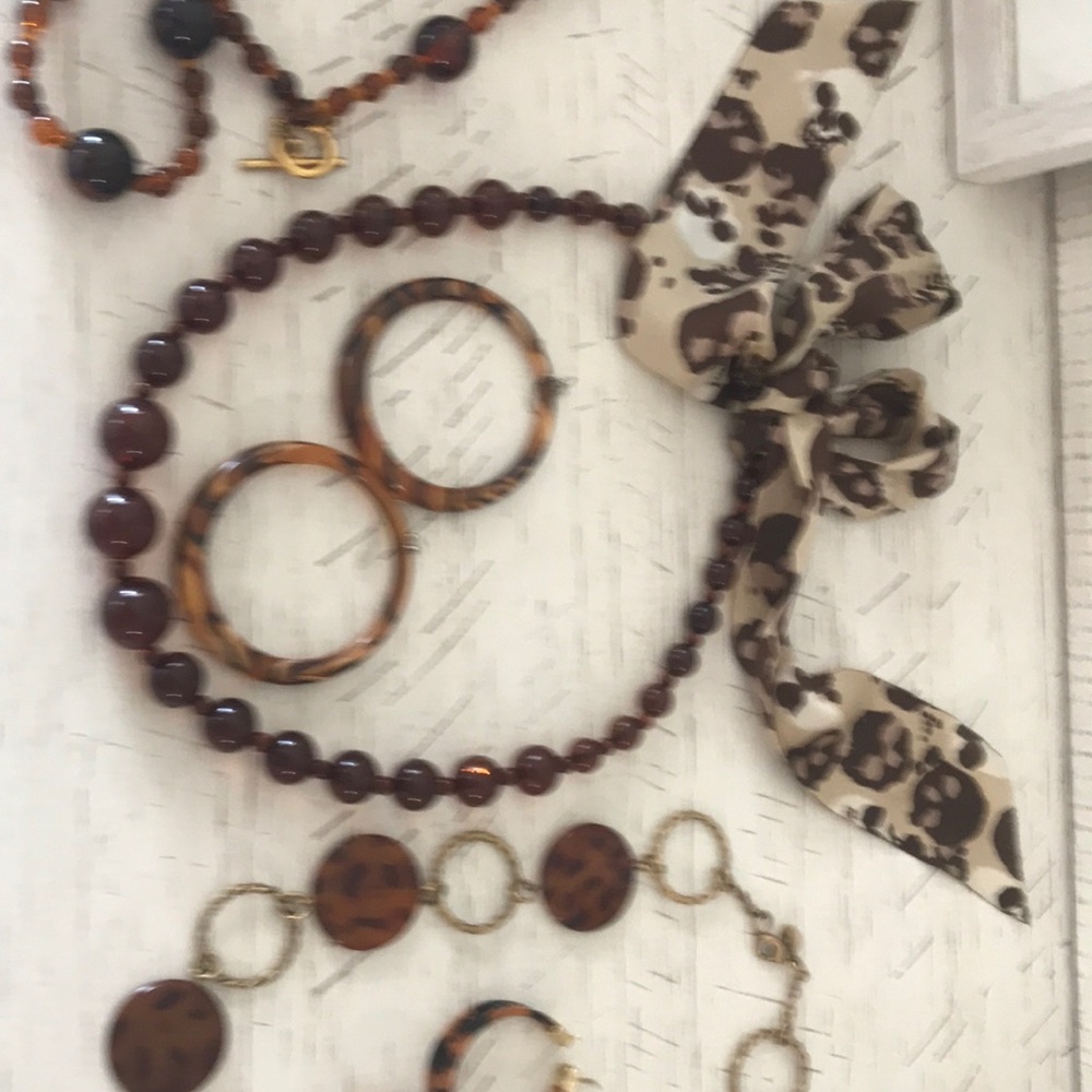 Tortoise on Trend collection